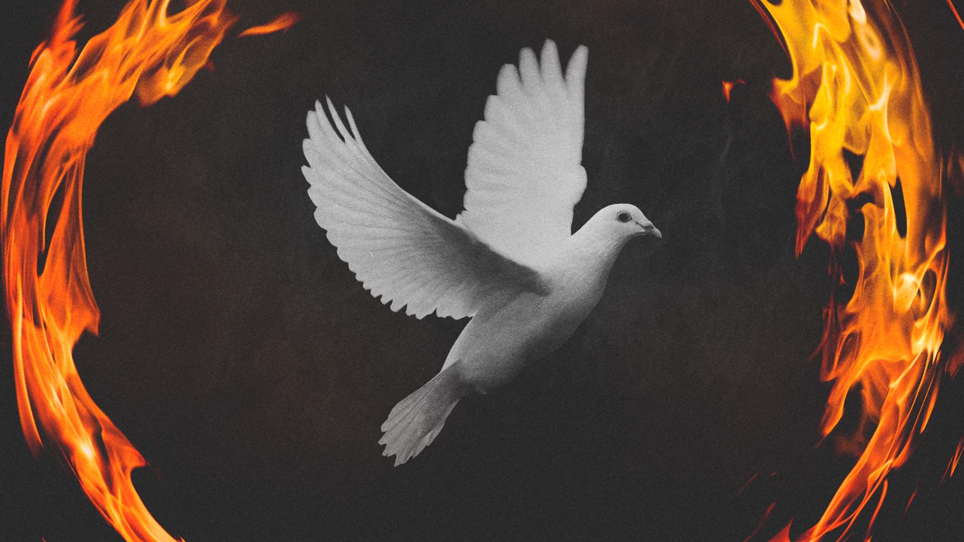 Featured image for “El Bautismo con el Espíritu Santo”